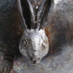 Hare närbild
