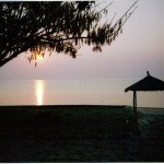 Vid Malawisjöns strand